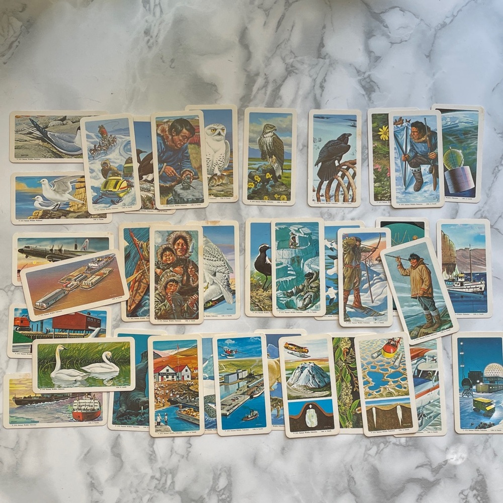 Vintage Red Rose Tea Trading Cards - LOT with duplicates